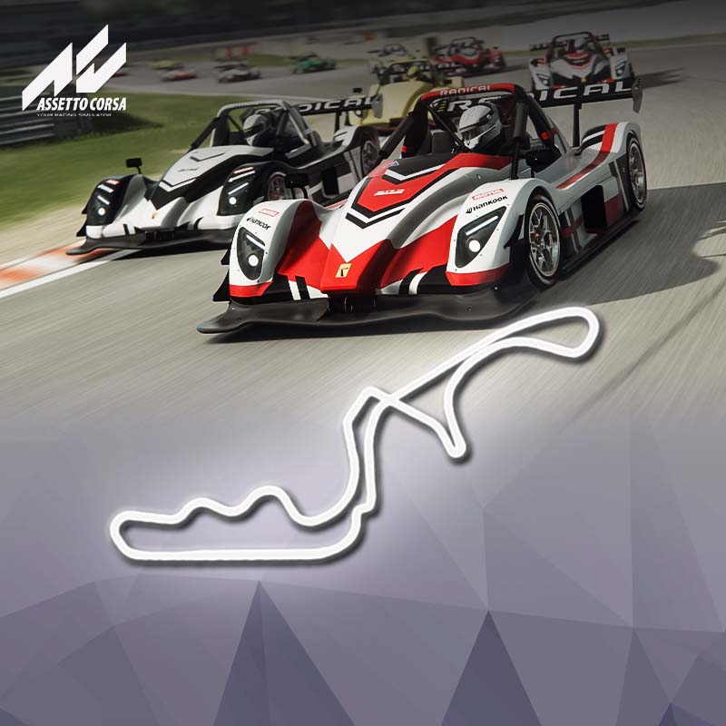 Suzuka-DNF-Radical-B-